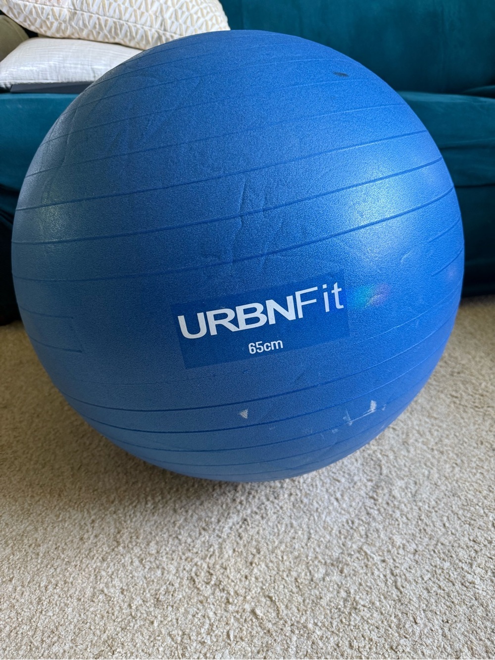 65cm Blue Exercise Ball - Stability & Core Support